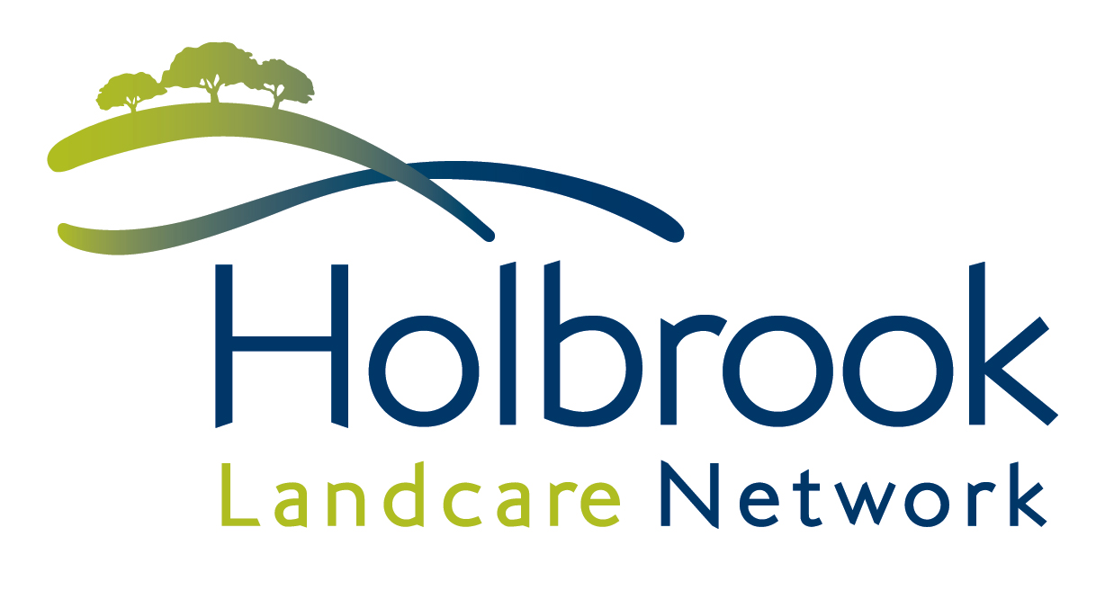 Net brand. Лого для Holbrook.