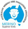 Australian Merino Sire Evaluation Association